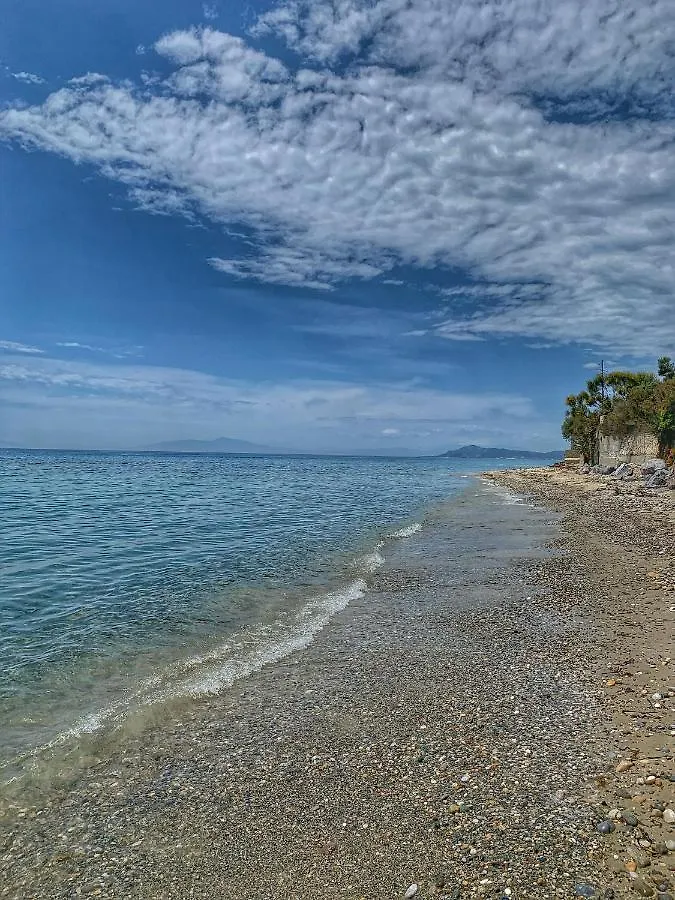 Mariya Art Living Apartment Nea Skioni Greece